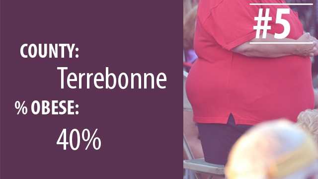la obeseity5.jpg