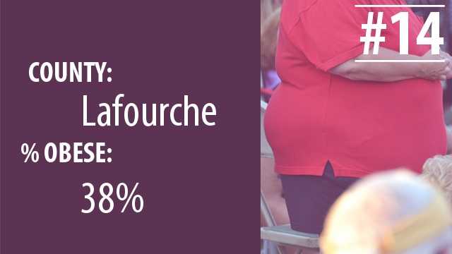 la obeseity14.jpg
