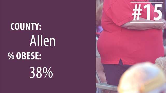 la obeseity15.jpg