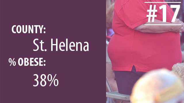 la obeseity17.jpg