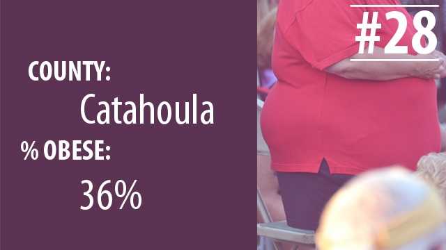la obeseity28.jpg