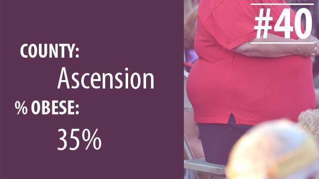 la obeseity40.jpg