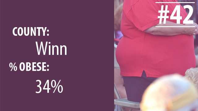 la obeseity42.jpg