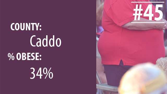la obeseity45.jpg