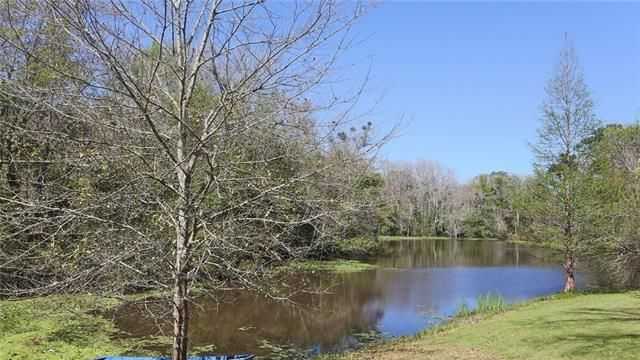 Mandeville Estate Mandeville Estate